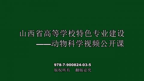 默認計劃 