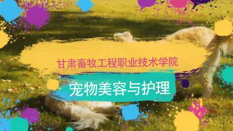 默認計劃 