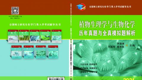 默認計劃 