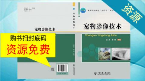 默認計劃 